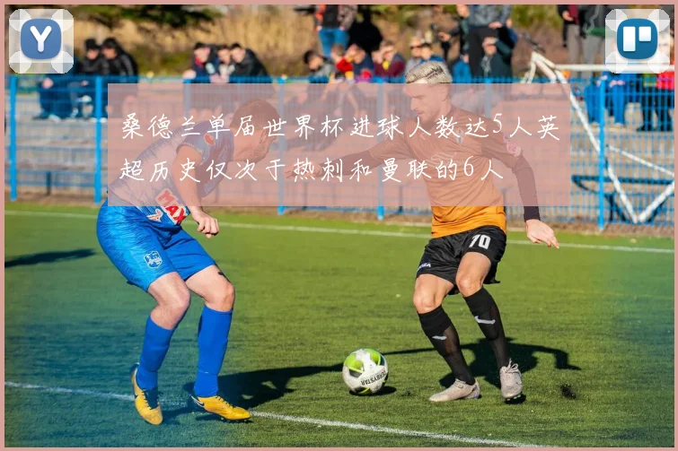 桑德兰单届世界杯进球人数达5人英超历史仅次于热刺和曼联的6人
