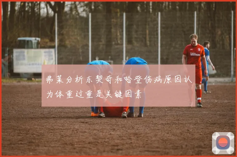 弗莱分析东契奇和哈登伤病原因认为体重过重是关键因素